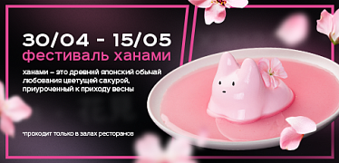 Фестиваль Ханами в TOKYO