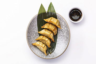 Гёдза с курицей Фрай