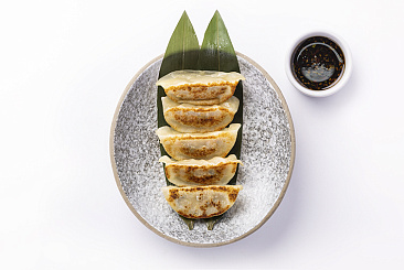 Гёдза с курицей