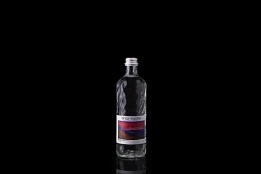 Вода Шамбала не газ 0,585 л